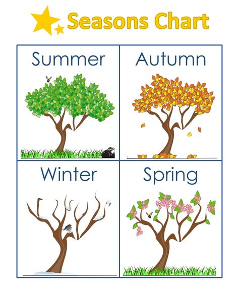 Kindergarten Seasons Worksheets Season Charts For Kids, Seasons Kindergarten, Season Project, Seasons Chart, Seasons Preschool, Seasons Lessons, Preschool Charts, Seasons Worksheets, Preschool Weather