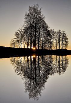 By Mixmaster Audun Bakke Andersen    This photo was taken on November 19, 2006 in Horten, Vestfold Fylke, NO, using a Canon EOS 350D Digital. Macro Fotografie, Reflection Pictures, Image Nature, Fotografi Alam Semula Jadi, Foto Tips, Lukisan Cat Air, Alam Semula Jadi, Still Water, Beautiful Tree