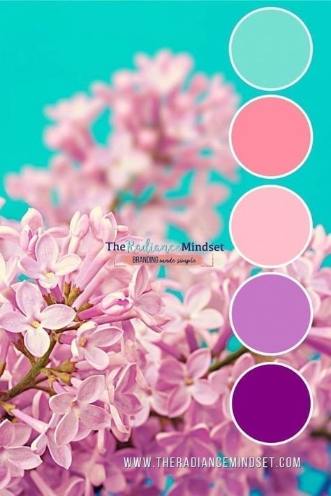 Purple Combo Colour Palettes, Fun Purple Color Palette, Marketing Colors Branding, Pinkish Purple Color Palette, Pink Purple Color Scheme, Colors That Go Well With Purple, Branding Purple Color Palette, Colour Palette With Purple, Color Palette Schemes