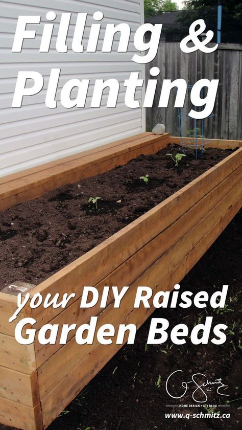 Are you a gardener looking to build DIY raised garden beds? Here is some information on filling and planting your garden beds… but make sure to properly calculate how much dirt you will need, or you’ll end up like us! Diy Raised Garden Beds, Building Raised Garden Beds, Jardim Diy, Raised Flower Beds, Vegetable Garden Raised Beds, Building A Raised Garden, Diy Raised Garden, Raised Garden Beds Diy, Kew Gardens