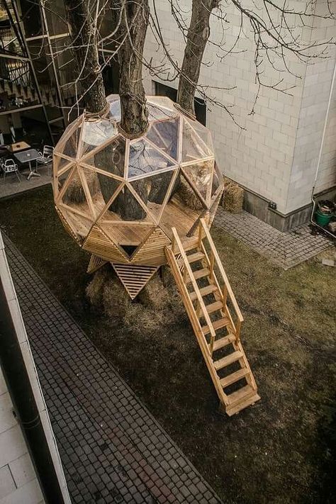 Tree House Diy, Tree House Designs, Dome House, Geodesic Dome, Chicken Coops, Chicken Coop, Play Houses, Future House, A Tree