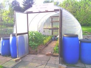 A Year Of Growing In A Polytunnel – My Review Polytunnel Ideas, Veg Growing, Garden Allotment, Poly Tunnel, Allotment Ideas, Vertical Pallet Garden, Cold Frames, Diy Greenhouse Plans, Hobby Greenhouse