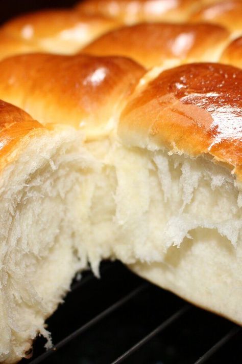 School Lunch Rolls, Lunch Lady Cafeteria Rolls, School Lunch Rolls Recipe, Cafeteria Yeast Rolls School Lunchroom, School Cafeteria Rolls, Hot Rolls Homemade, Schoolhouse Hot Rolls, Schoolhouse Rolls Recipe, Lunch Lady Yeast Rolls Recipe