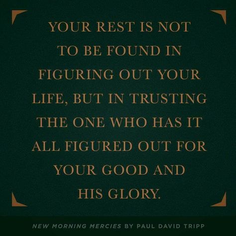 christian quotes | Paul Tripp quotes | suffering | providence | God’s glory God's Providence Quotes, Paul Tripp Quotes, Paul David Tripp Quotes, Paul David Tripp, Sound Doctrine, Theology Quotes, Reformed Quotes, New Morning Mercies, Biblical Counseling