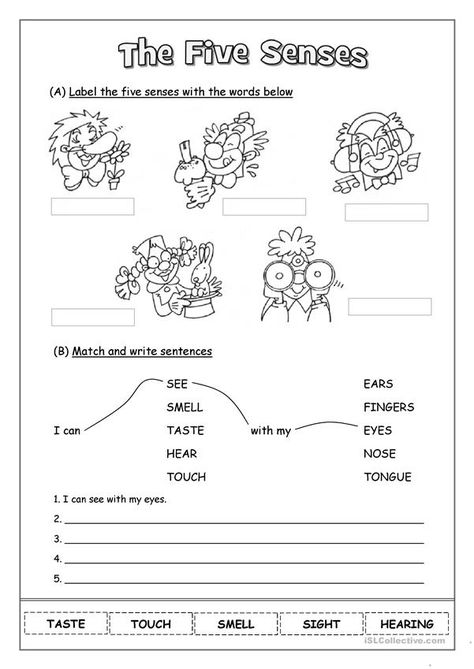 Senses Crafts For Toddlers, Five Senses Crafts For Toddlers, Morning Work Kindergarten Free, 5 Senses Worksheet, Five Senses Worksheet, Preschool Activity Sheets, My Five Senses, Self Esteem Worksheets, Holiday Homework