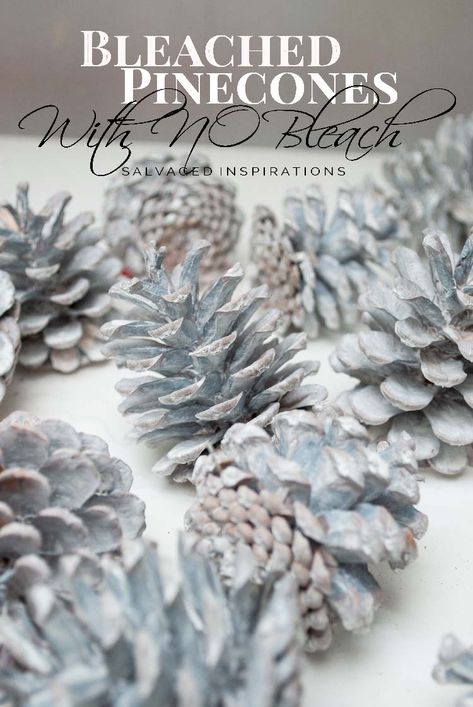 Bleached Pinecones with NO Bleach - Salvaged Inspirations Bleached Pinecones, Bleach Pinecones, Pine Cone Christmas Decorations, Salvaged Inspirations, Pine Cone Christmas Tree, Pine Cone Art, Christmas Pine Cones, Birthday Giveaways, Easy Flower Painting