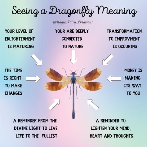 Seeing A Dragonfly Meaning, Dragonfly Spirit Animal Meaning, Spiritual Meaning Of Fairies, Insect Meaning Spiritual, Dragonfly Significance, Dragonfly Spirit Animal, Seeing Dragonflies Meaning, Dragonflies Meaning, Spiritual Animal Meanings