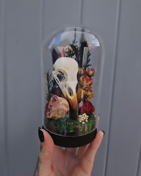 Here's a larger version of my previous dome, with a crow skull 🖤 I had so many requests to make another one 🖤 Available now on my website and etsy 🖤 #crowskull#skulls#skull#taxidermy#curio#odditydecor#oddities#odditiesandcuriousities#witchy#gothic#gothichomedecor#homedecor#cabinetofcuriosities#goth#darkart#darkaesthetic#darkacademiaaesthetic# Oddity Shelf, Skull Taxidermy, Crow Skull, A Crow, Taxidermy, Another One, My Website, Quick Saves, Home Decor