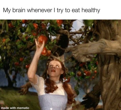 So many memes... on Instagram: “Brains are smart  . . . . . .  #memes #funny #funnymemes #haha #hahha #lol #gif #diet #eating #dietmemes #food #foodmemes #wizardofoz…” Eating Meme, Lol Gif, Food Memes, Wizard Of Oz, Memes Funny, Funny Memes, Gif, Diet, Memes