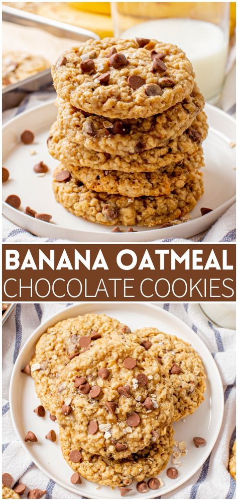 Banana Chocolate Chip Oatmeal Cookies, Banana Oat Chocolate Chip Cookies, Oatmeal Banana Chocolate Chip Cookies, Chocolate Chip Banana Cookies, Oatmeal Banana Cookies, Use Ripe Bananas, Banana Oatmeal Chocolate Chip Cookies, Banana Oatmeal Chocolate Chip, Banana Oatmeal Cookies Healthy