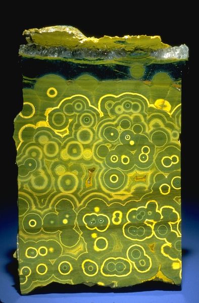 Slice of green and yellow orbicular agate from the National Mineral Collection National Museum Of Natural History, Geology Rocks, Museum Of Natural History, Pretty Rocks, Cool Rocks, Smithsonian Institution, Beautiful Rocks, Mineral Collection, Mineral Stone