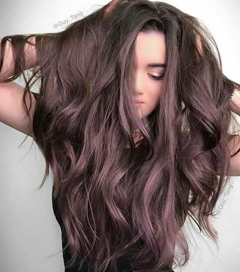 Gorgeous smoky plum hair Dark Chocolate Brown Hair, Hair Winter, Rambut Brunette, Brown Ombre Hair, Chocolate Brown Hair, Lilac Hair, Balayage Blonde, Brown Hair Color, Hair Color Purple