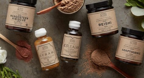 How to Set Up a Home Apothecary With Anima Mundi - Thrive Market Plant Bar, Home Apothecary, Label Inspiration, Herbal Health, Anima Mundi, Thrive Market, Mushroom Powder, Herbal Apothecary, Forbidden Fruit