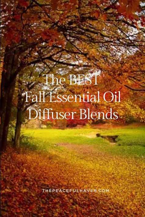 This week I have been testing as many of the Fall diffuser blends as I could find.  My family has had to endure a lot of exciting scents.  I started off the process searching for the perfect Pumpkin Spice diffuser blend.  Doesn’t that sound amazing?  Well, I was so disappointed to realize that you really can’t make the pumpkin spice scent without the coffee or pumpkin smell.  Nope, I can’t do it!  The good news is that I was able to come up with the very BEST Fall Essential Oil Diffuser Blends! Fall Essential Oils Blends, Fall Difusser Blend, November Diffuser Blends, Diffuser Blends For Fall, Fall Essential Oil Diffuser Blends, Pumpkin Spice Scent, Fall Essential Oil Blends, Fall Essential Oils, Fall Diffuser Blends