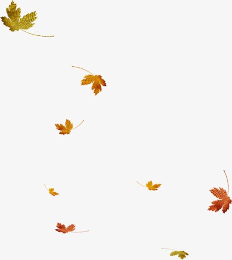 Maple Leaf Falling, Maple Leaf Images, Fall Leaves Png, Fall Clip Art, Leaves Png, Image Stickers, Blood Art, Leaf Images, Cool Backgrounds Wallpapers