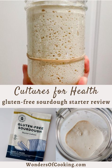 Gluten Free Sourdough Starter Guide - Cultures For Health Easy Gluten Free Sourdough Bread, Gf Sourdough Starter, Gluten Free Sourdough Starter, Starter Cultures, Gluten Free Sourdough, Gluten Free Dairy Free Recipes, Our Daily Bread, Sourdough Starter, Daily Bread