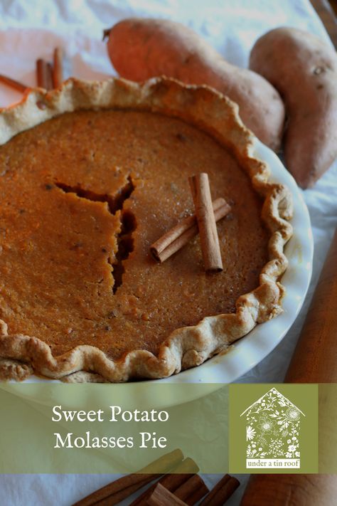 Sweet Potato Molasses Pie — Under A Tin Roof™ Molasses Pie, The Possession, Pumpkin Pie Recipe, Good Pie, Homemade Pie Crusts, Potato Pie, Pumpkin Pie Recipes, Sweet Potato Pie, Tin Roof