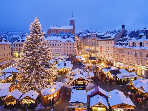 Xmas in Bavaria Best European Christmas Markets, Outdoor Christmas Photos, Christmas Live Wallpaper, Christmas In Germany, German Christmas Markets, Christmas In Europe, Best Christmas Markets, Christmas Markets Europe, Tivoli Gardens