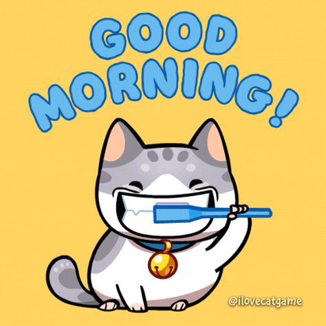 Good Morning Gifs, Cute Good Morning Gif, Cartoon Gif, Gif Images, Morning Gif, Miscellaneous Items, Kitty Games, Cute Good Morning, Good Morning Gif