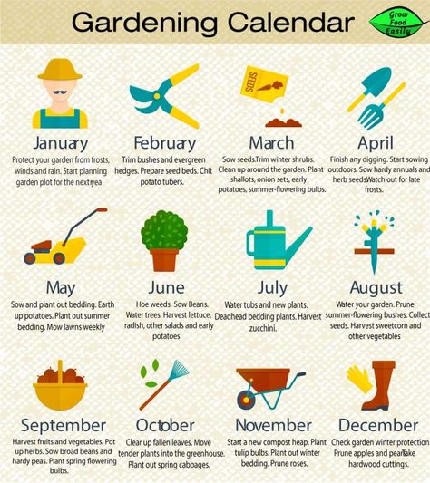 Zone 6 Planting Schedule, Zone 6 Planting, Homestead Garden Layout, Planting Schedule, Gardening Calendar, Winter Shrubs, When To Plant Vegetables, Planting Calendar, Plant Zones