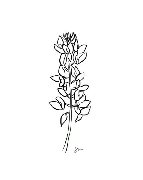 Bluebonnet Line Drawing, Blue Bonnet Drawing Simple, Blue Bonnet Tattoo Simple, Bluebonnet Drawing, Bluebonnet Tattoo, Montana Tattoo, Birthdate Tattoo, Half Sleeve Ideas, Western Diy