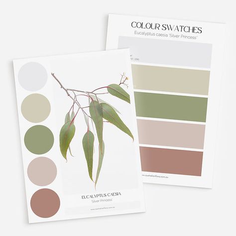 COLOUR PALETTES | AUSTRALIAN FLORA 2/2 Contemporary Queenslander, Branding Palette, Australian Colours, Australian Decor, Australian Nature, Australian Eucalyptus, Australian Native Garden, Colour Swatches, Australian Wildflowers