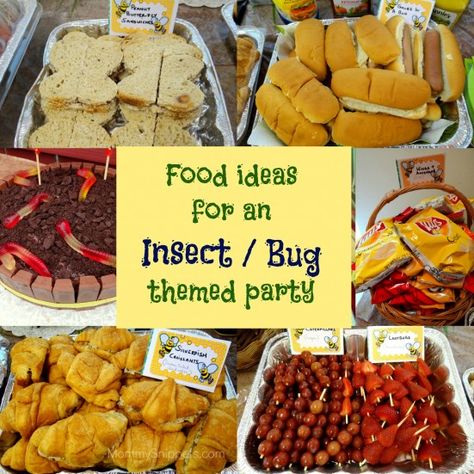 Looking for boy's party ideas? Check out these fun food ideas for an Insect or Bug themed party via Mommy Snippets. Bug Snack Ideas, Bug Party Food, Bug Themed Party, Bird Theme Parties, Bug Food, Reptile Party, Bug Party, Party Food Themes, Bugs Life