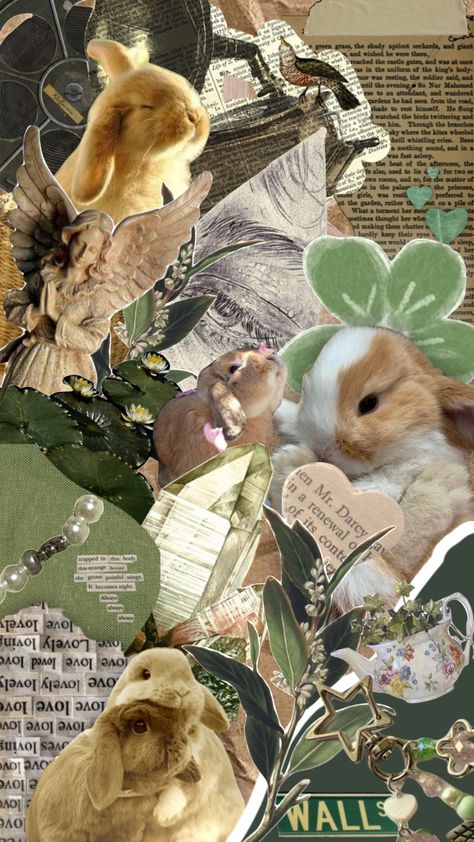 Cute Rabbit Wallpaper Iphone, Rabbit Wallpaper Iphone, Bunny Wallpaper Aesthetic, Rabbit Collage, Bunny Collage, Rabbit Wallpaper, Wings Wallpaper, Iphone Wallpaper Landscape, Bunny Wallpaper