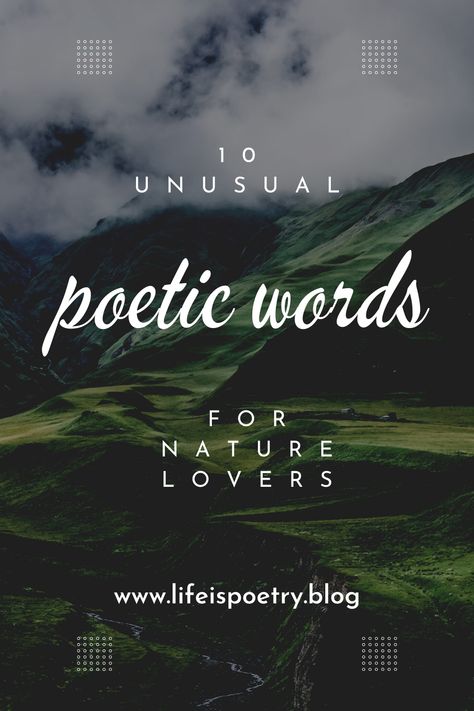 Spending time in nature has a reviving effect on our minds and bodies, whether it's taking a walk in the woods, hiking in the mountains, or just watching a sunset. As a result, many people become inspired and motivated to create, which gives them a vehicle for self-expression. These 10 poetic nature words will help you express yourself if you are feeling inspired by nature but are at a loss for words. Aesthetic Words About Nature, Beautiful Words For Nature, Lover Of Nature Word, Pretty Descriptive Words, Nature And Me Quotes, Words For Nature Lovers, Nature Grounding Quotes, Nature Posts Instagram, Nature Words Beautiful