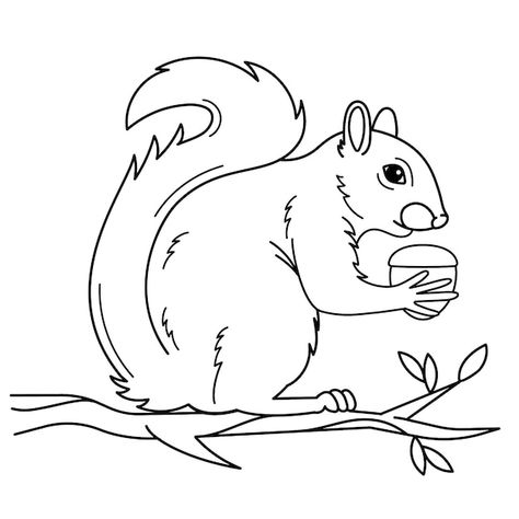 Free vector hand drawn squirrel outline ... | Free Vector #Freepik #freevector #animal-outline #outline #line-art #animal-drawing Squirrel Line Drawing, Squirrel Outline, Animals Outline, Animal Outline, Outline Illustration, Outline Drawing, Animal Drawing, Outline Drawings, Order Food