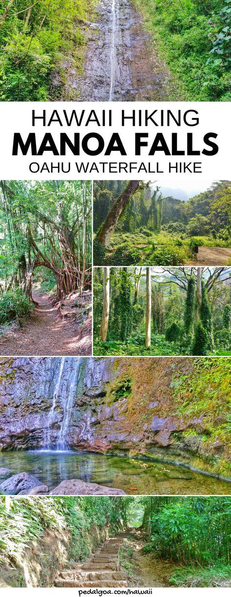 Manoa Falls Oahu, Hikes In Hawaii, Oahu Waterfalls, Hawaii Hiking, Manoa Falls, Oahu Hikes, Hawaii Packing, Hawaii Hikes, Oahu Vacation