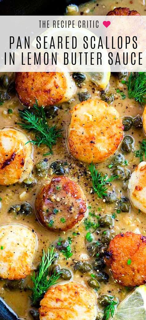 Resep Oatmeal, Seafood Scallops, Scallops Recipe, Lemon Caper Sauce, Pescetarian Recipes, Caper Sauce, Resep Seafood, Pan Seared Scallops, Meal Prep Plans