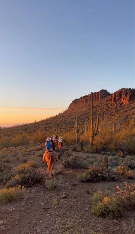 Lexi Hidalgo, Arizona Aesthetic, Desert Life, Beautiful Places On Earth, Lifestyle Inspiration, New Opportunities, New Life, Instagram Story, Beautiful Places