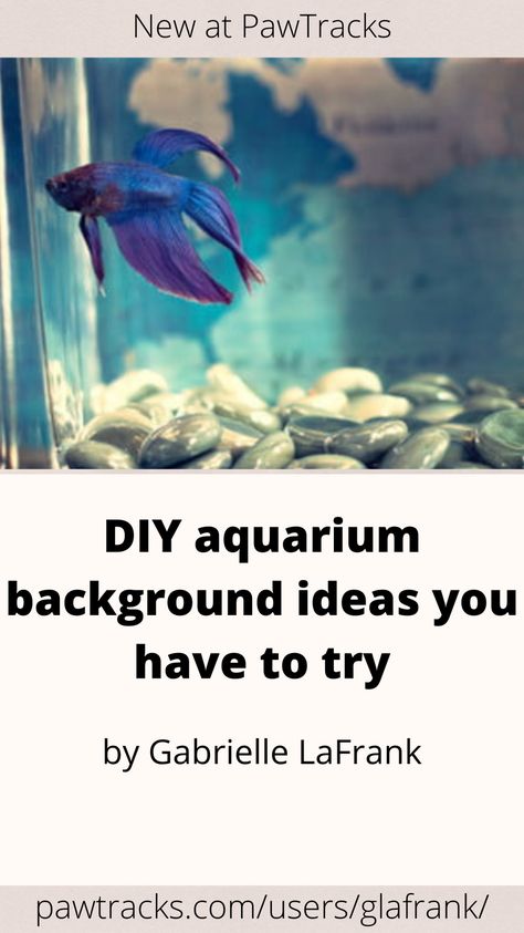 It’s important to read up on your fish’s needs so you’ll know what’s required of you, but it’s also fun to experiment a little when it comes to tank decoration. If you’re feeling extra creative, you can even make your own aquarium background to add an extra layer of depth to your fish’s tank. Read on to find out how. Fish Tank Background Diy, Fish Tank Background Ideas, Aquarium Backgrounds Wallpapers, Diy Fish Tank Decor, Aquarium Background Diy, Aquarium Background Ideas, Aquarium Decorations Diy, Diy Fish Tank Decorations, Aquarium Hacks