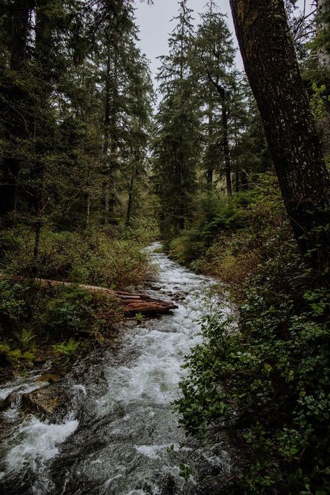 Paradis Sombre, Oregon Aesthetic, Arrow Photography, Astoria Oregon, Oregon Photography, Cannon Beach Oregon, Outdoor Aesthetic, Salem Oregon, Crater Lake