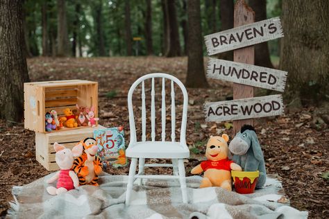 Winnie The Pooh Themed Photoshoot, Winnie The Pooh First Birthday Photoshoot, Winnie The Pooh 1st Birthday Photo Shoot, Winnie The Pooh Photoshoot, Winnie The Pooh First Birthday Pictures, Winnie The Pooh Photo Shoot, Baby Milestones Pictures, 1st Birthday Pictures, Winnie The Pooh Pictures