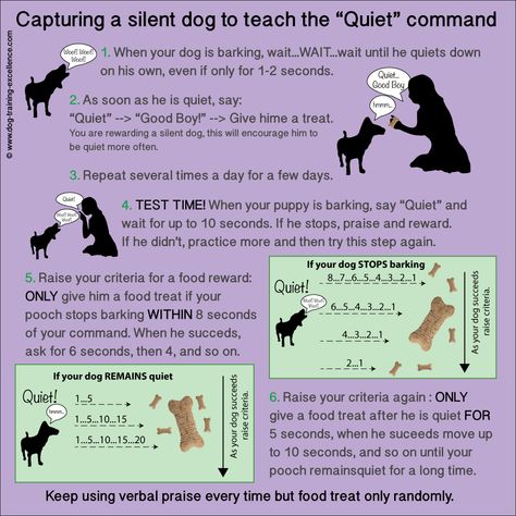 Stop Dog Barking, Easiest Dogs To Train, Info Board, Dog Training Advice, Dog Training Techniques, Training Treats, Dog Hacks, Training Your Puppy, Pet Hacks