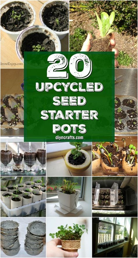 20 Upcycled Seed Starter Pots You Can Easily Make At Home {Curated and Published by DIYnCrafts.com} via @vanessacrafting Garden Diy Decoration Ideas, Seed Planter, Seed Starters, Seedling Pots, Seed Pots, Seed Starter, Starting A Garden, Homestead Survival, Apartment Garden