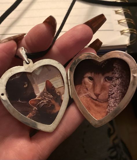 #aesthetic #accessories #necklace #locket #cats #heartlocket #cute Locket Necklace Aesthetic, Necklace Aesthetic, Aesthetic Accessories, Necklace Locket, Picture Locket, How Lucky Am I, Necklace For Girlfriend, Heart Locket, Locket Necklace