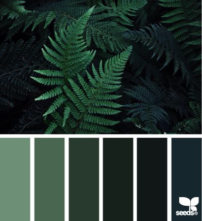 color nature | design seeds | Bloglovin Forest Green Paint Color, Green Color Scheme, 브로셔 디자인, Green Color Schemes, Green Paint Colors, Green Colour Palette, Design Seeds, Bedroom Green, Green Paint