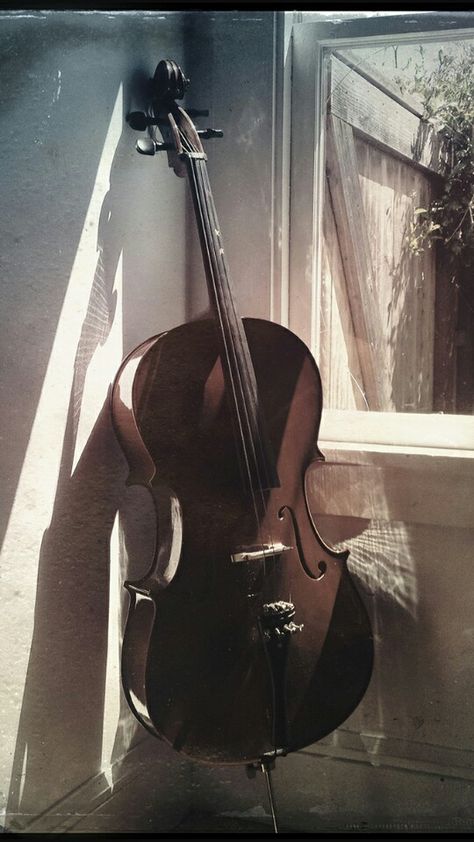 My wallpaper Cello Aesthetic, Cello Art, Old Violin, Cello Music, Learn Violin, My Wallpaper, Cellos, Music Student, All About Music