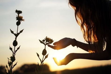 Mundo Hippie, Gentle Movement, Full Figured, Light And Shadow, A Flower, Picture Perfect, Photography Inspiration, Human Silhouette, Beautiful Pictures