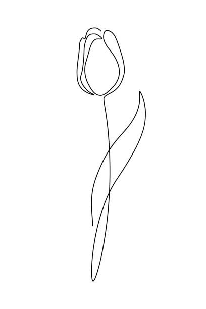 Single Line Tulip, Single Line Flower Drawing, Line Art Drawings Simple, Tulip Line Drawing, Continuous Line Flower, One Line Art Drawings, One Line Drawing Flower, Flower One Line Drawing, Continous Line Drawing