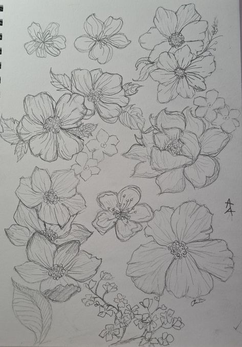 Group Of Flowers Drawing, Page Full Of Flowers Drawing, Page Of Flowers Drawing, Bed Of Flowers Drawing, Sketch Book Flowers Drawing, Big Flower Sketch, Pencil Drawn Flowers, Flower Edge Border Drawing, Fantasy Flowers Drawing