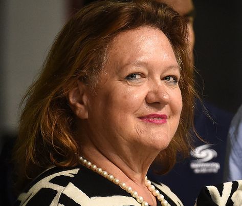 Rinehart’s secret millions to the IPA | The Saturday Paper Gina Rinehart, Current Affairs, Ipa