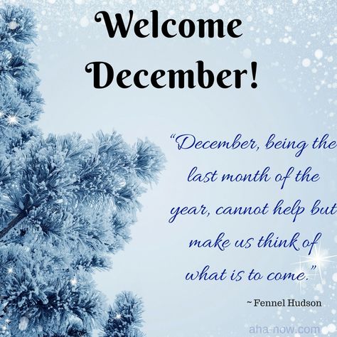 Welcome To #December  Better is the end of a thing than the beginning thereof. God who has brought you from the beginning of this year to the very end is able to fulfill all his promises for your life.Keep your faith strong, your hope high and your joy level undiminished.As we take on this new month of the birth of the Lord Jesus Christ, let hope be your watchword.Act in faith, believe that all things are possible for you and as you think in your heart, so shall it be for you. Last Month Of The Year Quotes Feelings, Welcome December Quotes Indonesia, December Welcome Quotes, Last Day Of December Quotes, Welcome To December Quotes, Hello December Quotes Thoughts, December Quotes Happy, December 1st Quotes, Welcome December Quotes