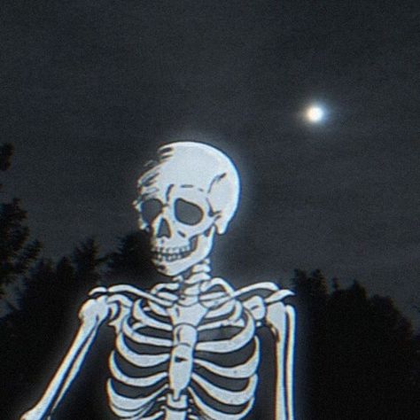 A Skeleton, At Night, The Moon, Skeleton, Moon, Instagram Photos, Twitter, On Instagram, Instagram