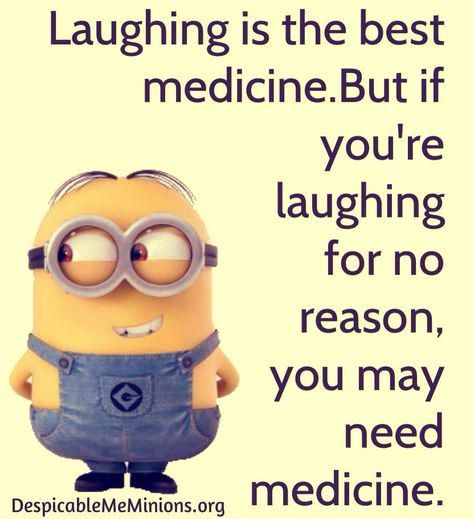 Minion Humour, Minions Images, Minion Memes, Minions Humor, Funny Minion Pictures, Funny Minion Memes, Minion Pictures, Minion Jokes, Minions Love