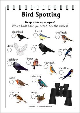 Bird spotter form (SB9235) - SparkleBox  Bird spotting is a great excuse for a walk around Bosinver and the Cornish countryside.  Educational, good exercise and a lot of fun. Can your child find all the birds here in Cornwall? Different Types Of Birds, Backyard Birds Watching, Birds For Kids, Homeschool Nature Study, Types Of Birds, Forest School Activities, Nature School, Outdoor Education, Outdoor Classroom