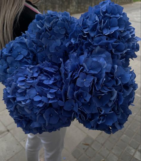 Dark Blue Hydrangea, 2000s Photoshoot, Flower Board, Peonies And Hydrangeas, Nothing But Flowers, Flower Therapy, Beautiful Flowers Pictures, Blue Hydrangea, Flower Pictures